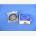 NSK R10VV Bearing, 